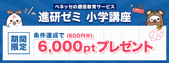 インカム けんちゃん様専用 生々しく